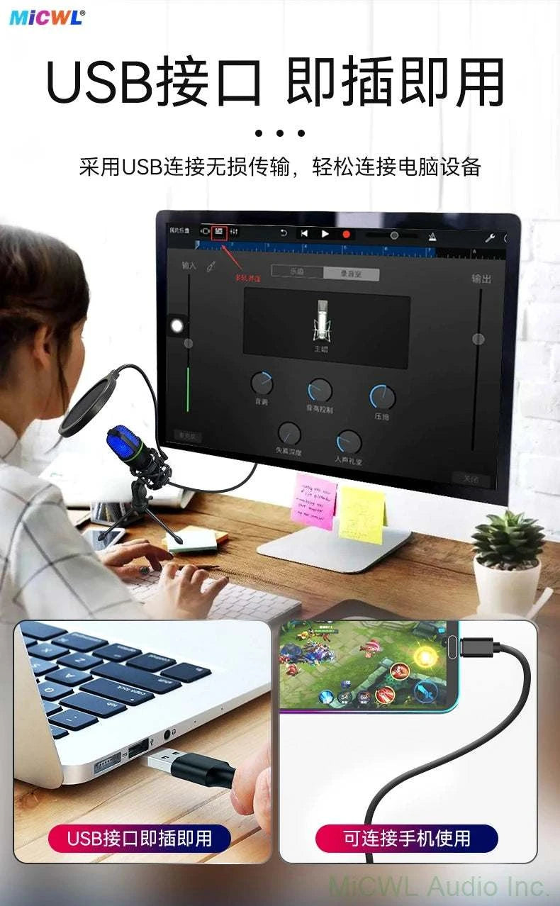Professional Studio USB Microphone for PC Streaming Gaming YouTube Video Singing Gaming Recording PS4 RGB