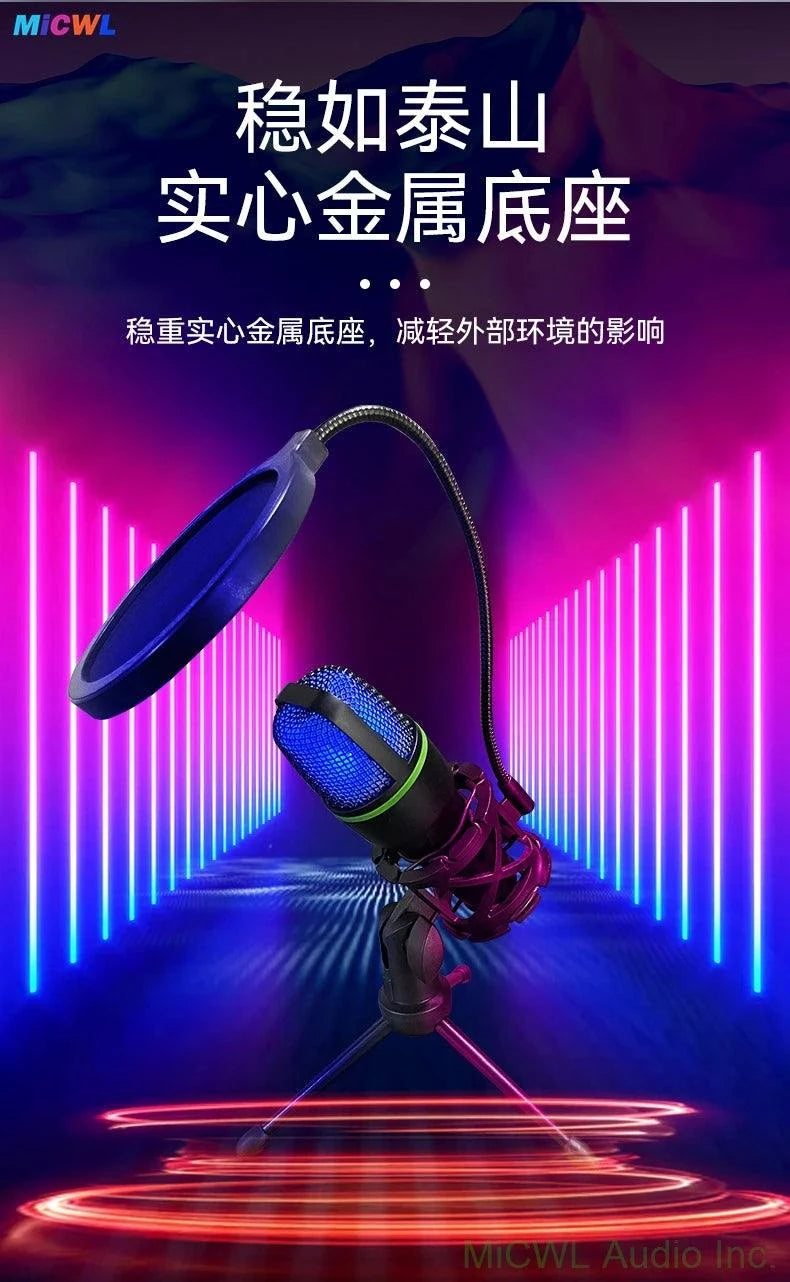 Professional Studio USB Microphone for PC Streaming Gaming YouTube Video Singing Gaming Recording PS4 RGB