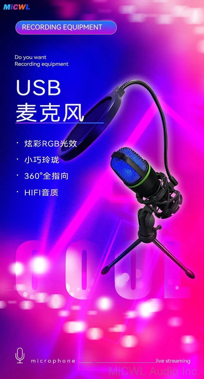 Professional Studio USB Microphone for PC Streaming Gaming YouTube Video Singing Gaming Recording PS4 RGB