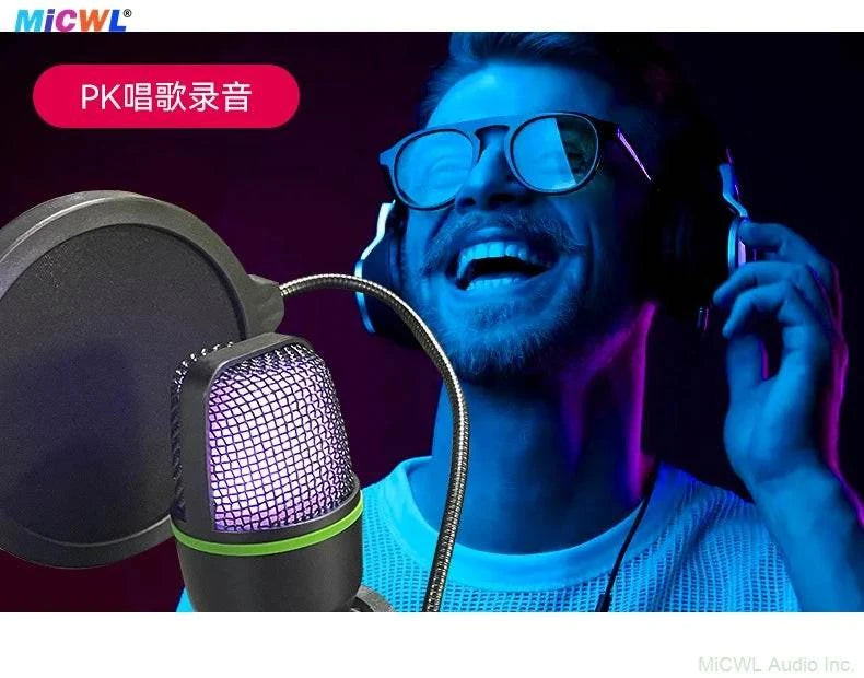 Professional Studio USB Microphone for PC Streaming Gaming YouTube Video Singing Gaming Recording PS4 RGB