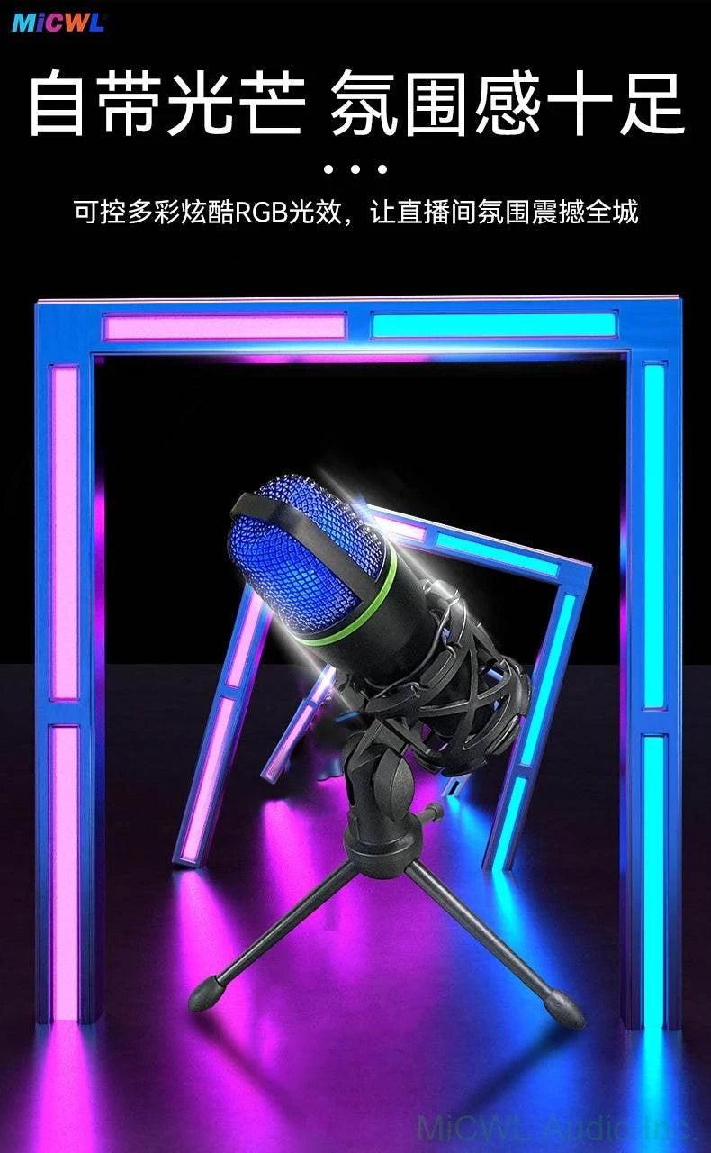 Professional Studio USB Microphone for PC Streaming Gaming YouTube Video Singing Gaming Recording PS4 RGB